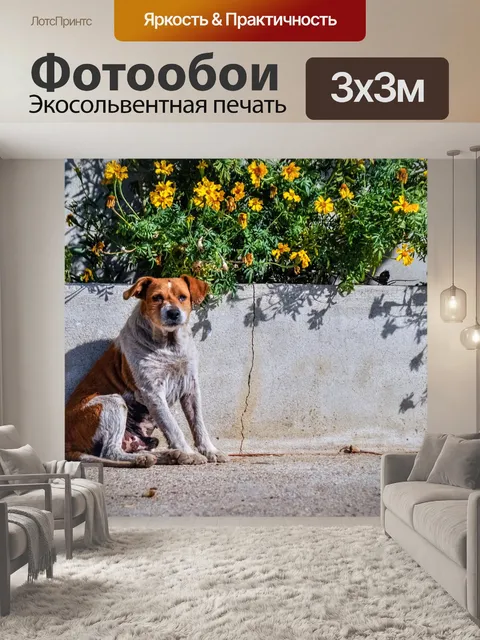 Фотообои Собака
