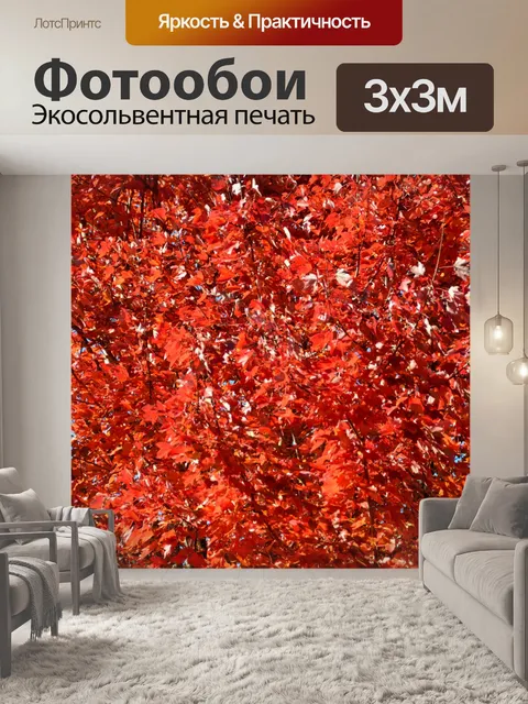 Фотообои Красочные листья падают