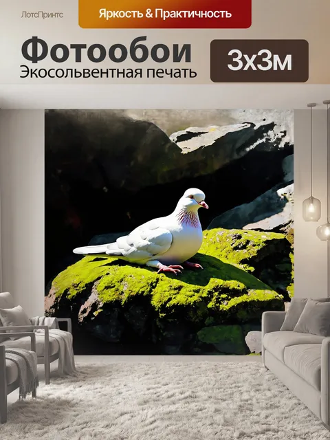 Фотообои белый голубь разлегся на грубом камне, ярко выделяясь на фоне зелёного мха