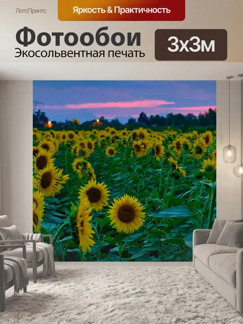 Фотообои Подсолнухи