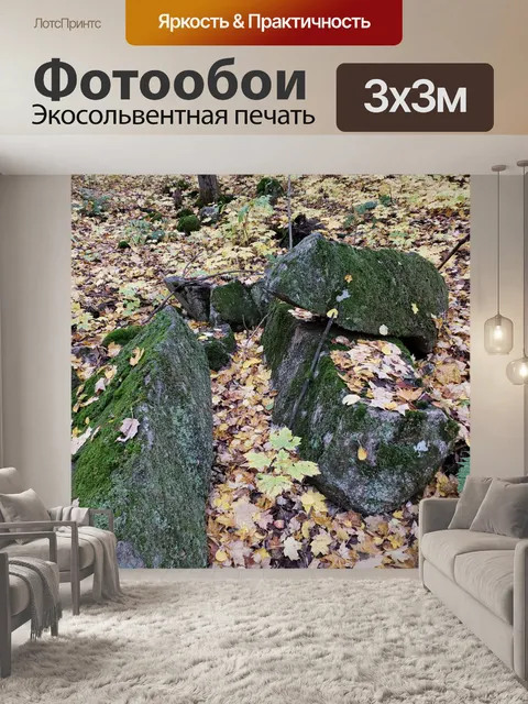 Фотообои Осенние деревья и скалы