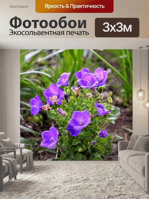 Фотообои Цветы