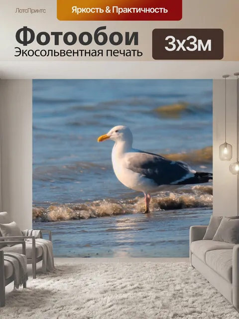 Фотообои чайка