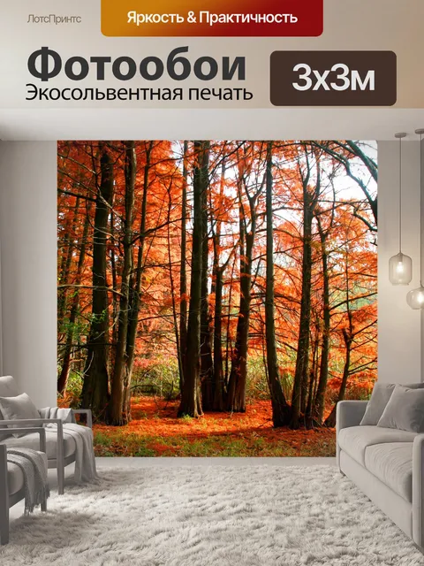 Фотообои Осень