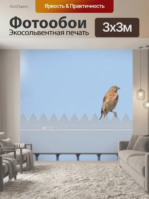 Фотообои Птица
