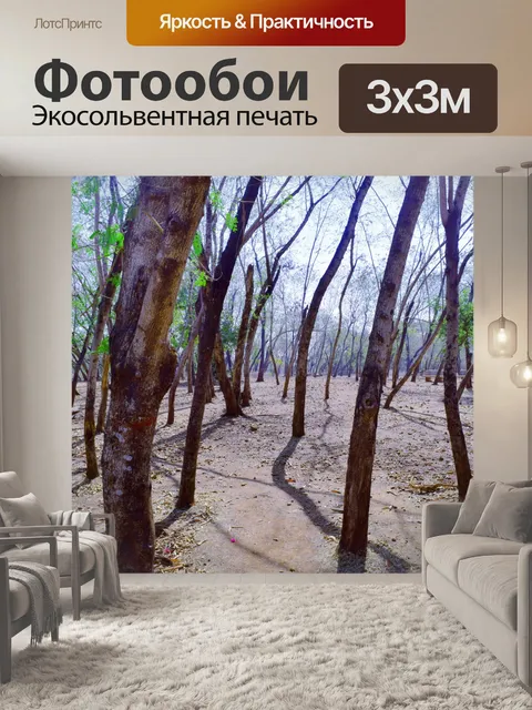 Фотообои Деревья и лес 10