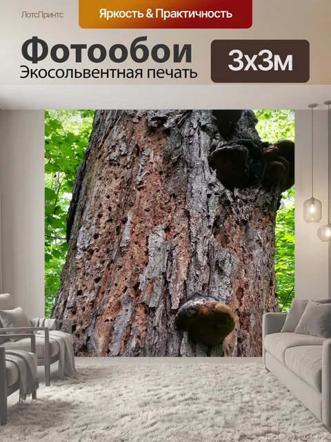 Фотообои Мертвое дерево