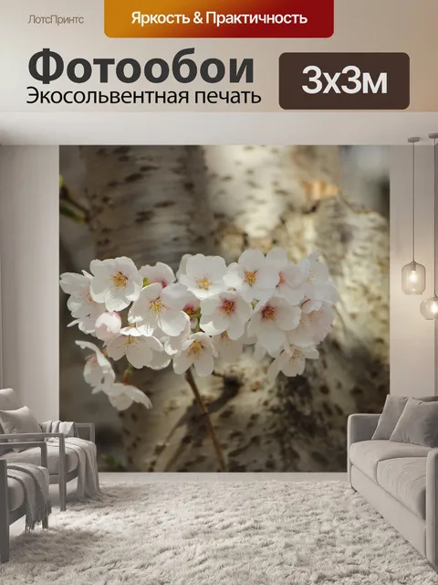 Фотообои Цветы
