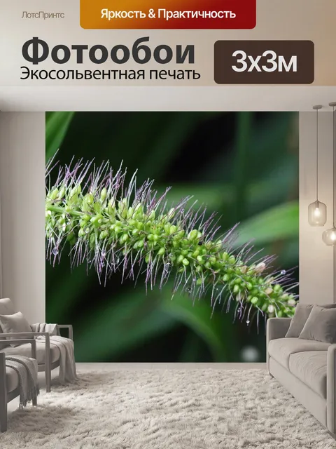 Фотообои капли воды на пучке травы