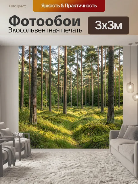 Фотообои Солнечный сосновый лес