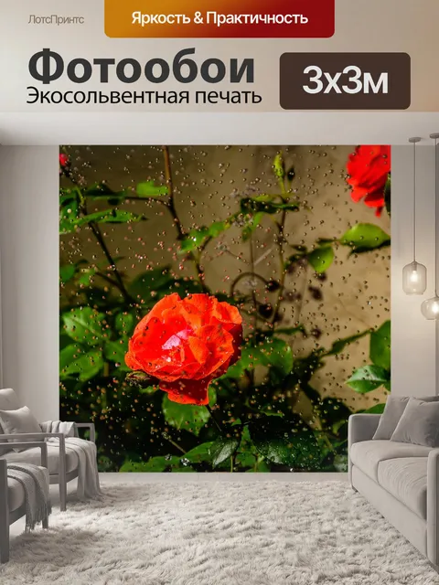 Фотообои Розы