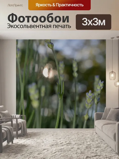 Фотообои Лаванда