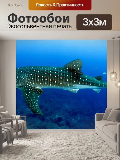 Фотообои Китовой акулой, Rhincodon Typus