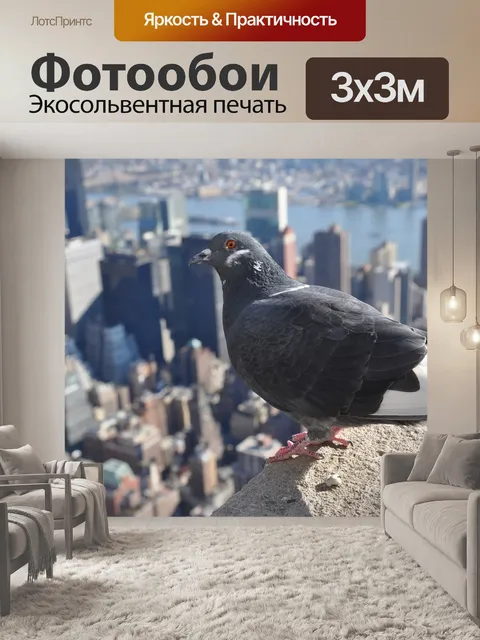 Фотообои Птица