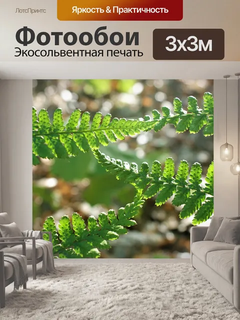 Фотообои Папоротники