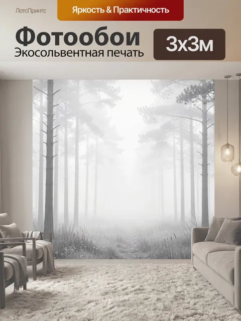 Фотообои Туманный сосновый лес