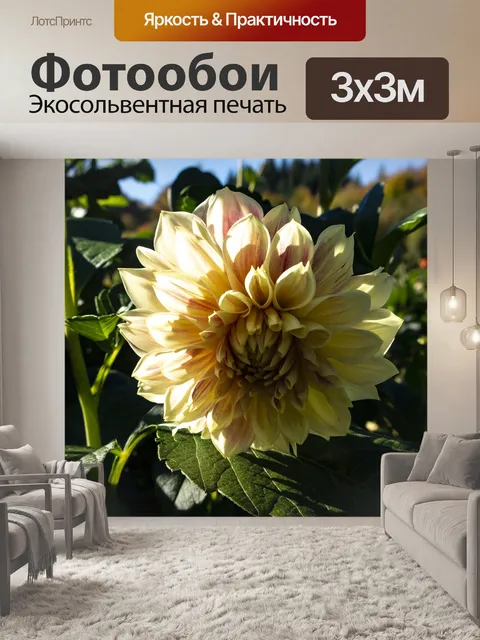 Фотообои Цветок