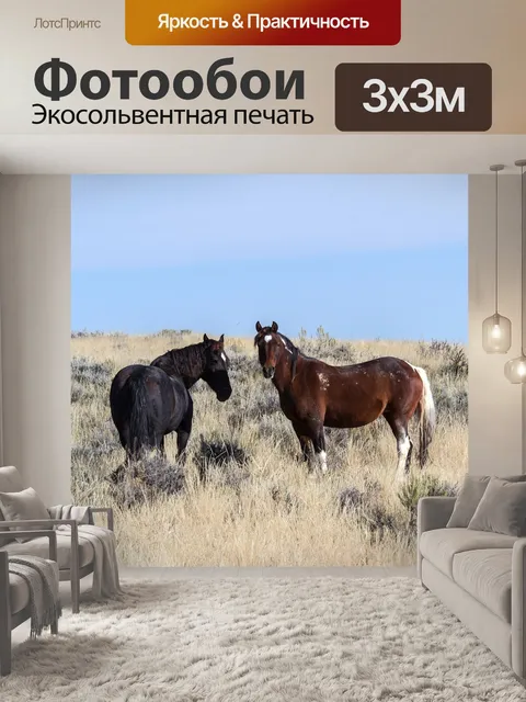 Фотообои Лошади