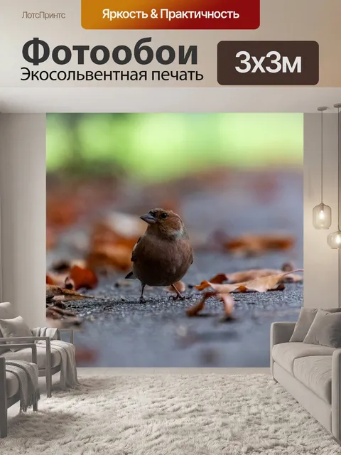 Фотообои Птица