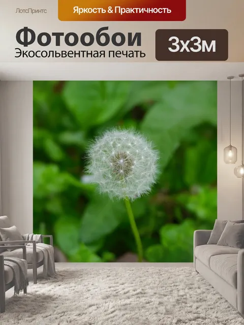Фотообои Одуванчик