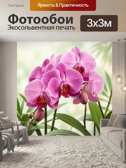 Фотообои Розовые орхидеи в цветении