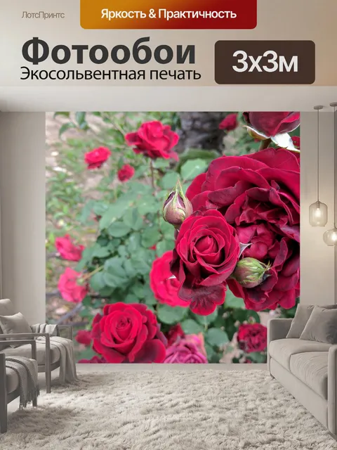 Фотообои Красные розы