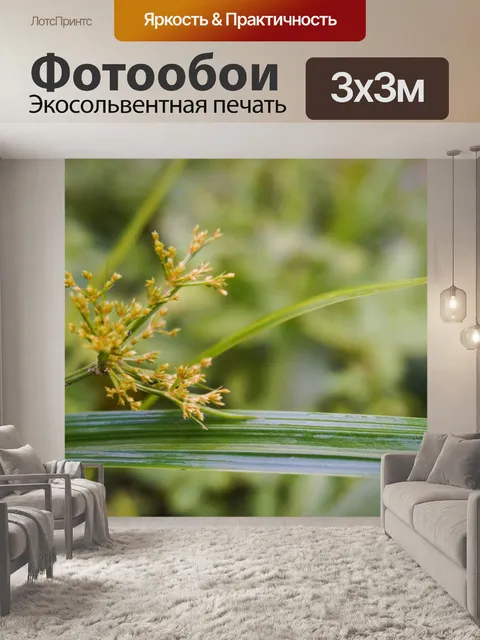 Фотообои Цветок