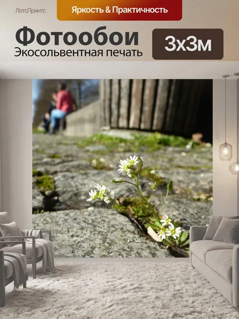 Фотообои Цветок