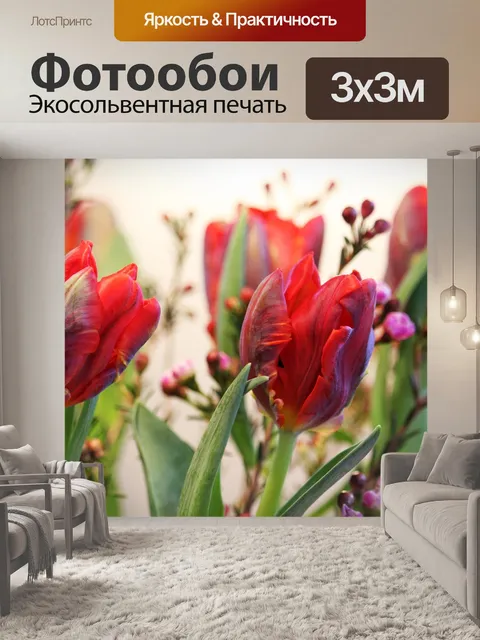 Фотообои Тюльпаны