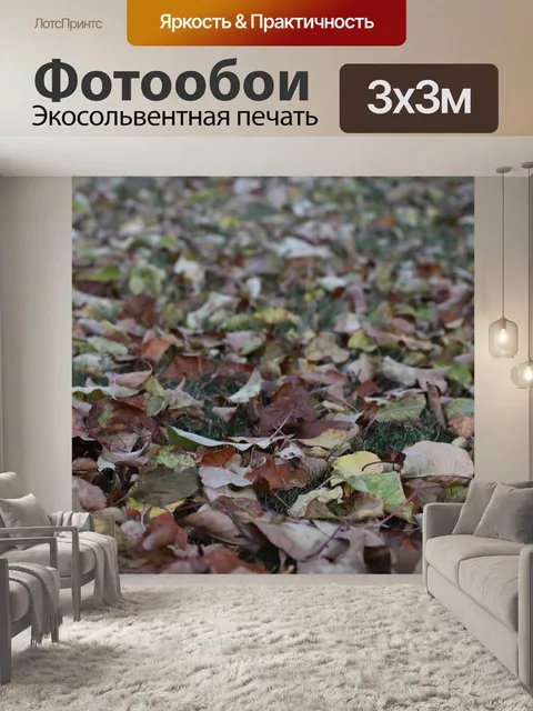Фотообои Падение