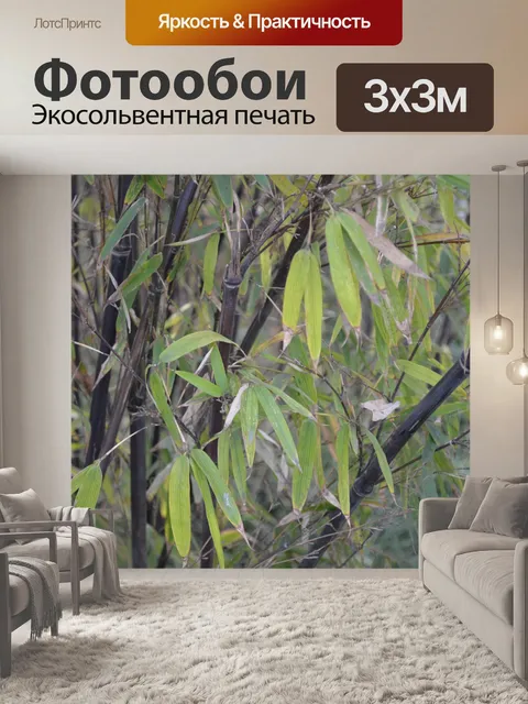 Фотообои Black Bamboo