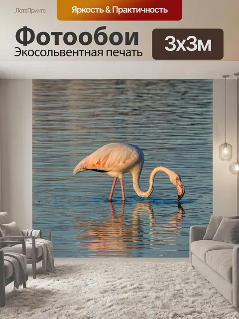 Фотообои Фламинго