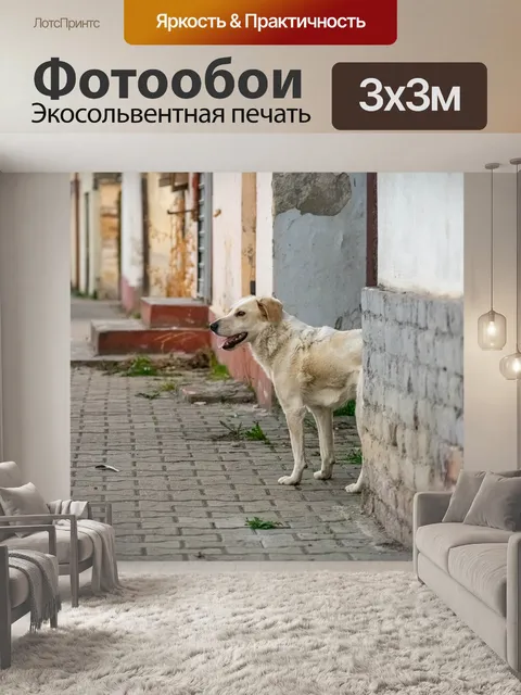 Фотообои Собака