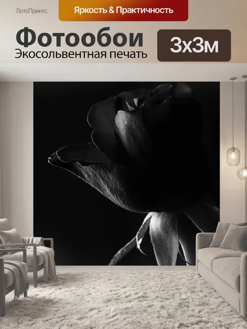 Фотообои Роза