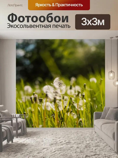Фотообои Одуванчик