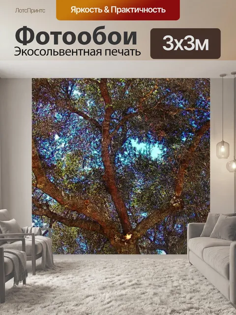 Фотообои Ветви дерева