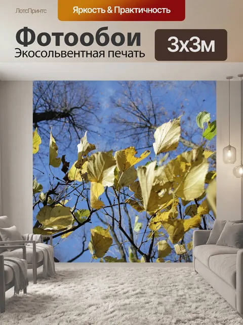 Фотообои Осень