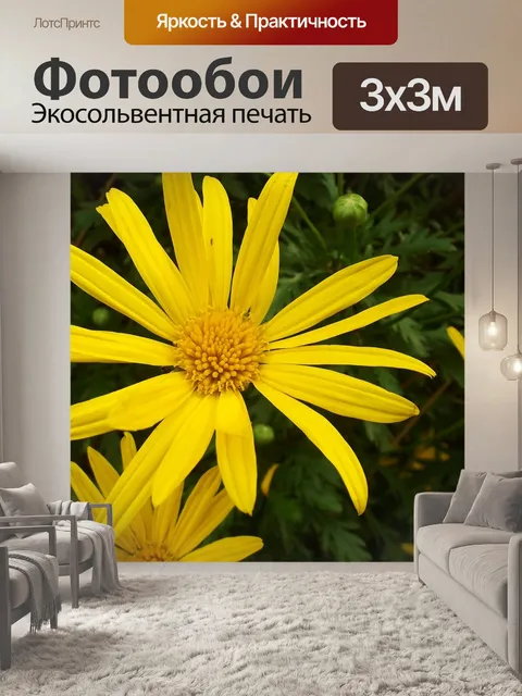 Фотообои Цветок