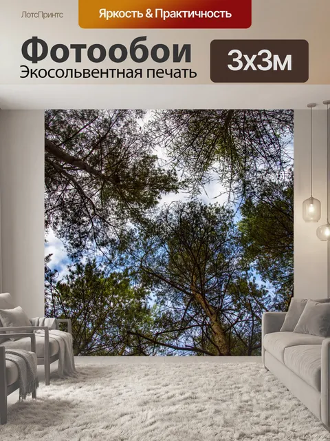 Фотообои деревья