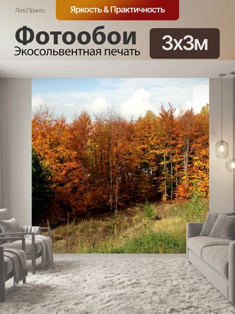 Фотообои Лес