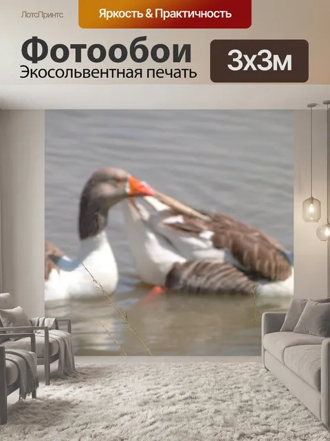 Фотообои Гуси