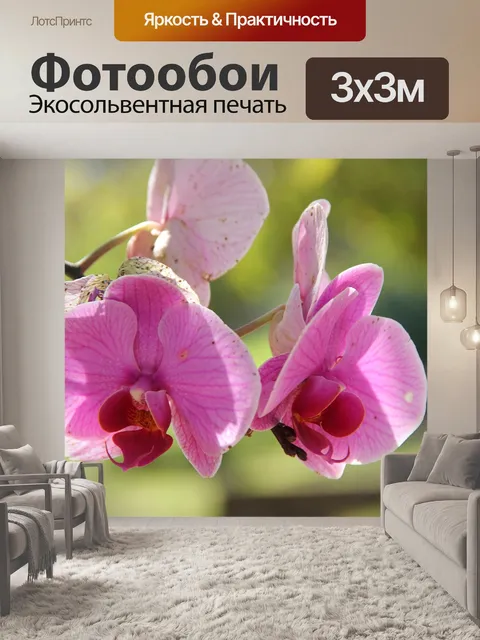 Фотообои Природа