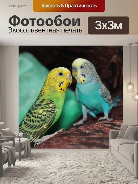 Фотообои Птицы