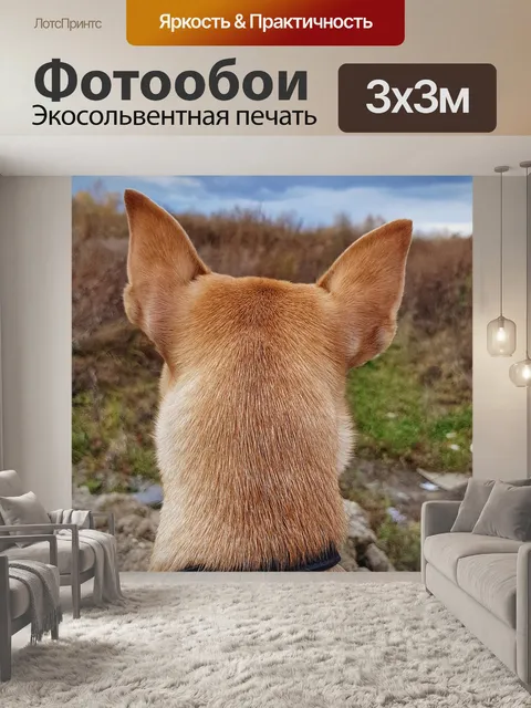 Фотообои Собака