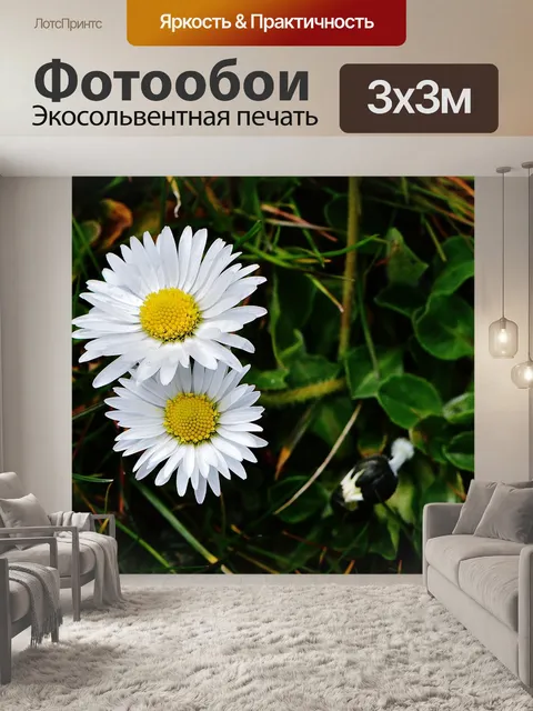 Фотообои Весенний луг