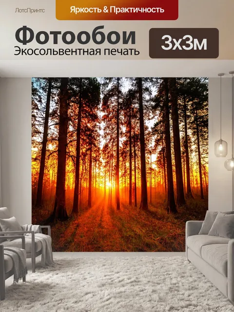 Фотообои лес с эффектными закатами, омывающими деревья оранжевым светом