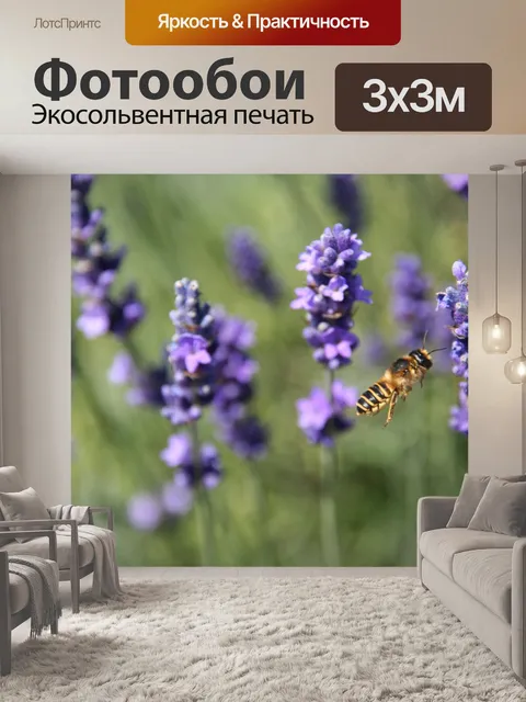 Фотообои Пчела на Лаванда
