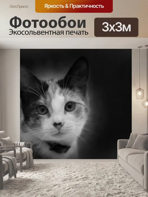 Фотообои Кот
