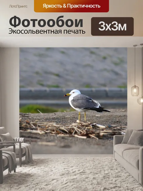 Фотообои Животное