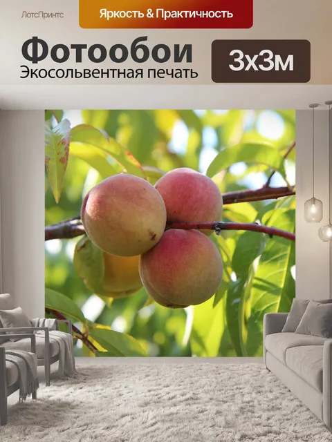 Фотообои Рыбалка